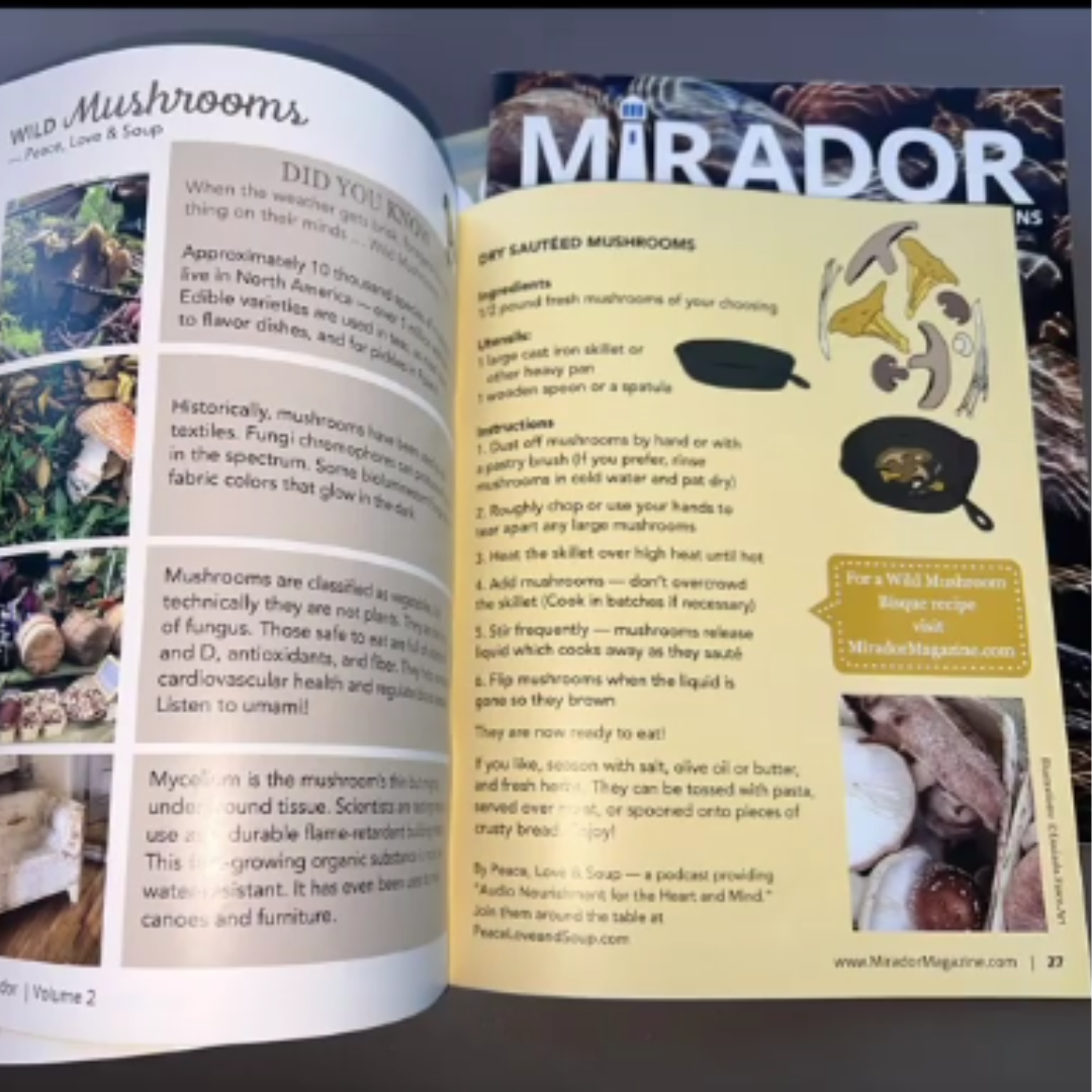 Mirador Magazine, Volume 1: Sand and Sea
